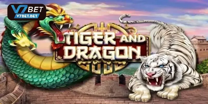 Chiến thuật gấp thếp Rồng Hổ V7bet